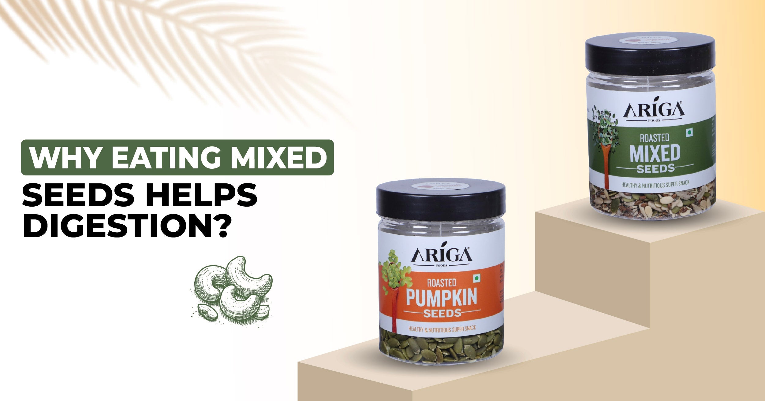 How Roasted Mixed Seeds Can Help in Digestion?