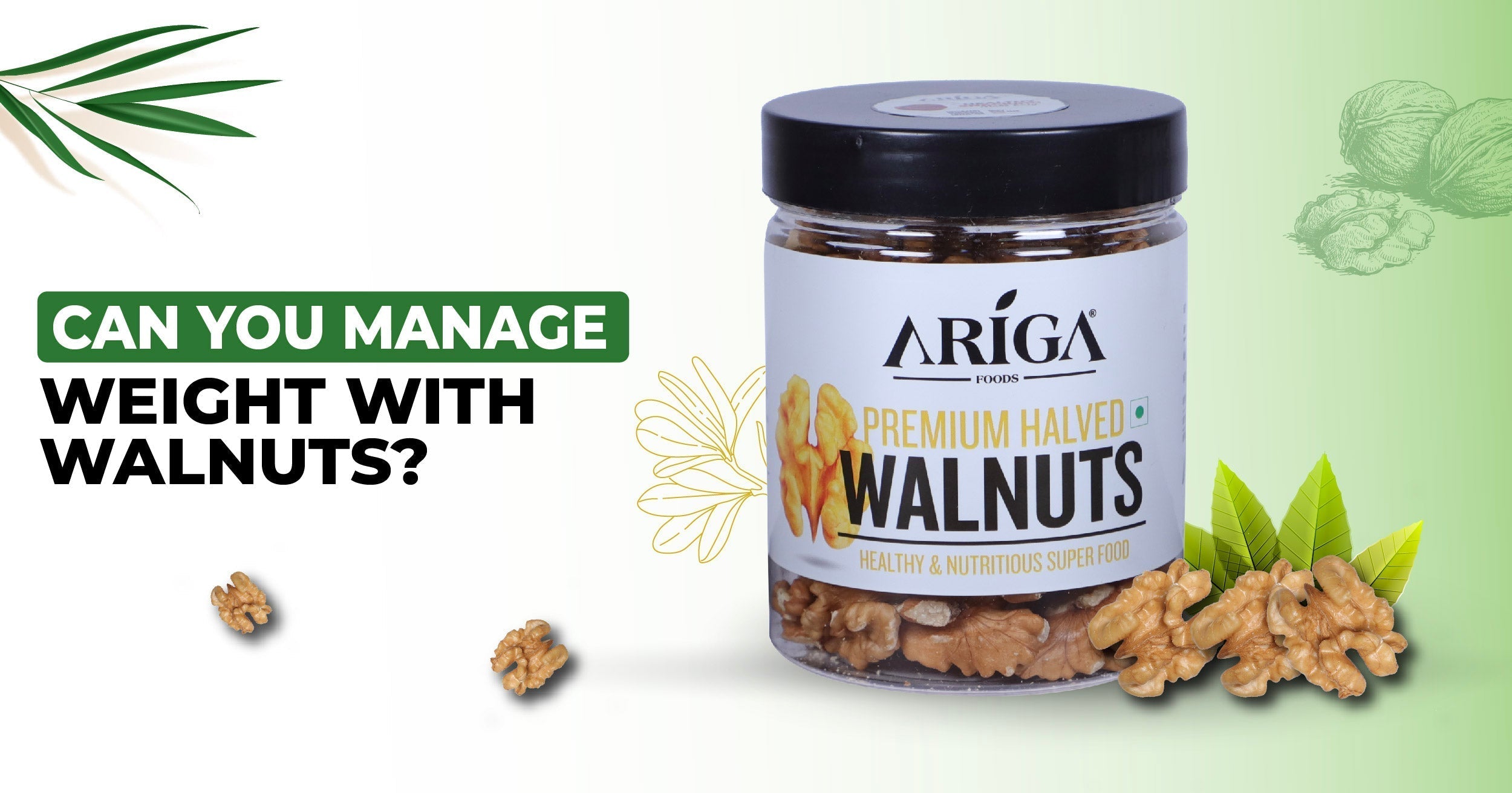 The Role of Walnuts in Weight Loss and Management
