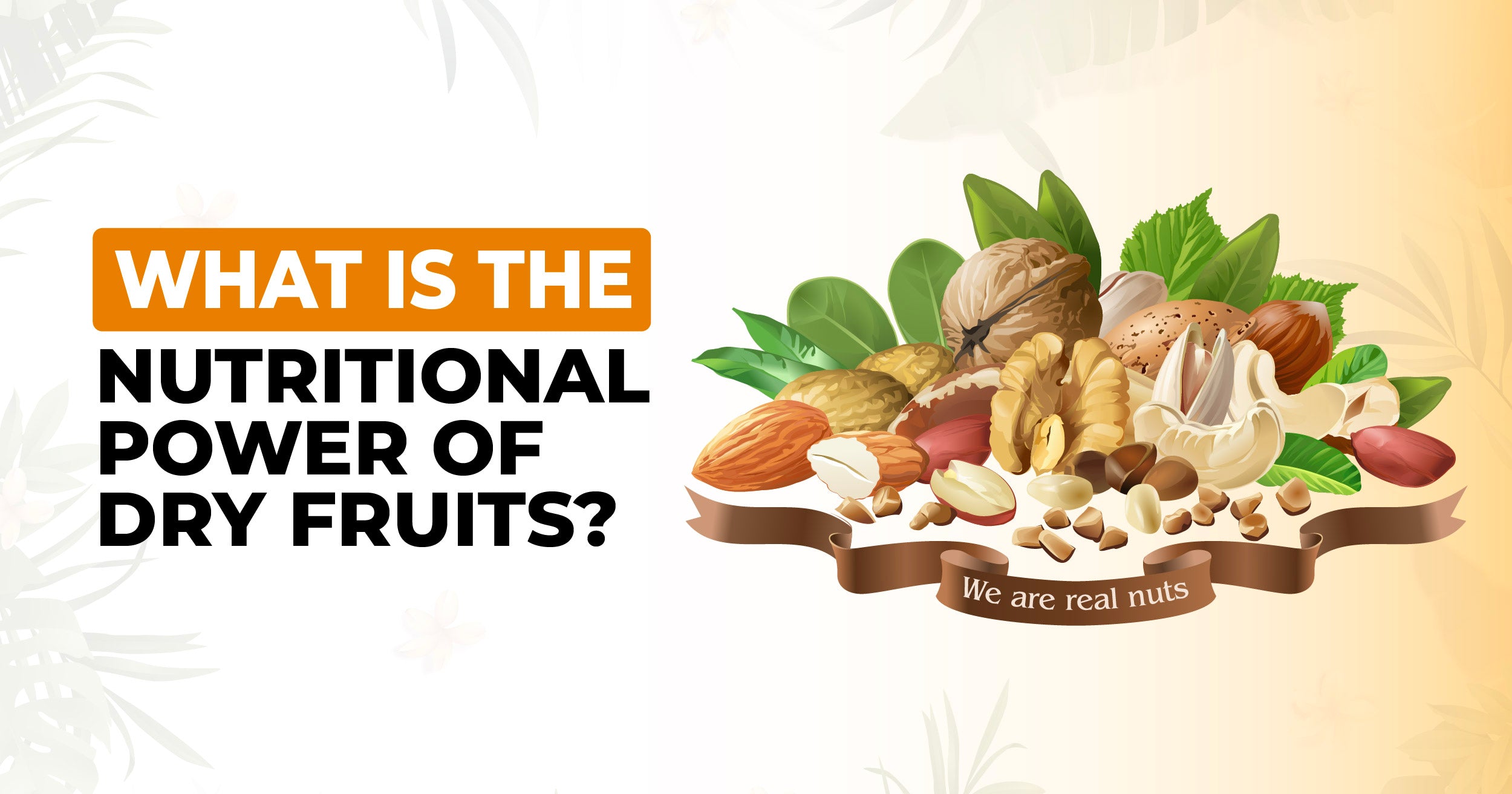 What is the Nutritional Power of Dry Fruits?
