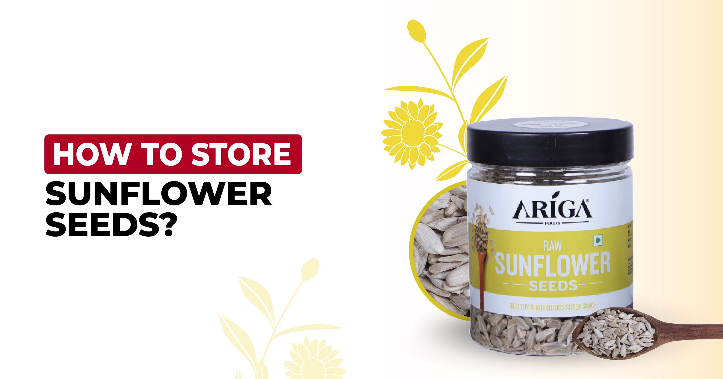 How to Store Sunflower Seeds to Maintain Their Freshness