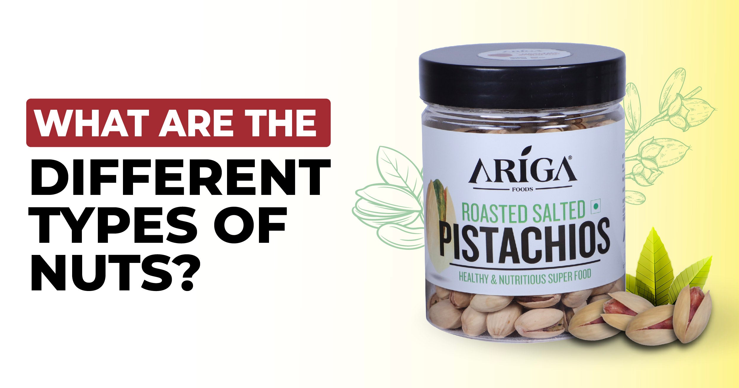 What are the different types of Nuts?