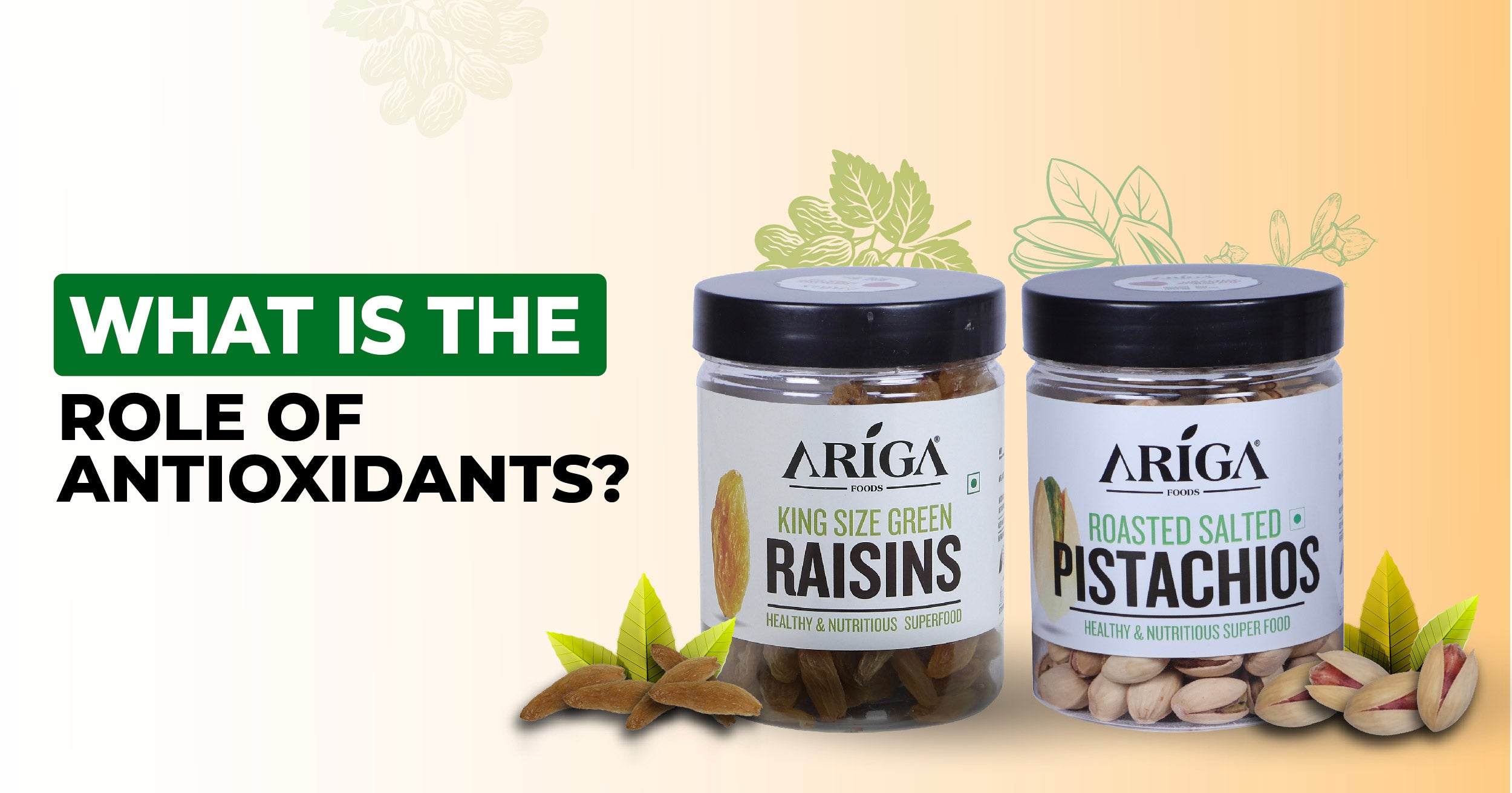 The Role of Antioxidants in Maintaining Optimal Health with Dry Fruits