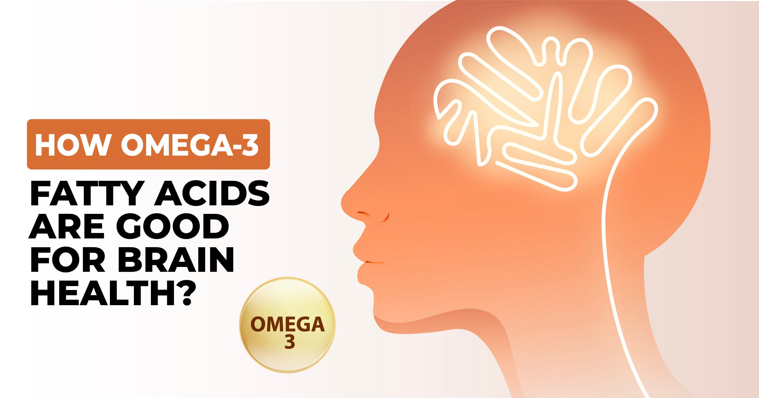 How Omega-3 Fatty Acids are good for Brain Health?
