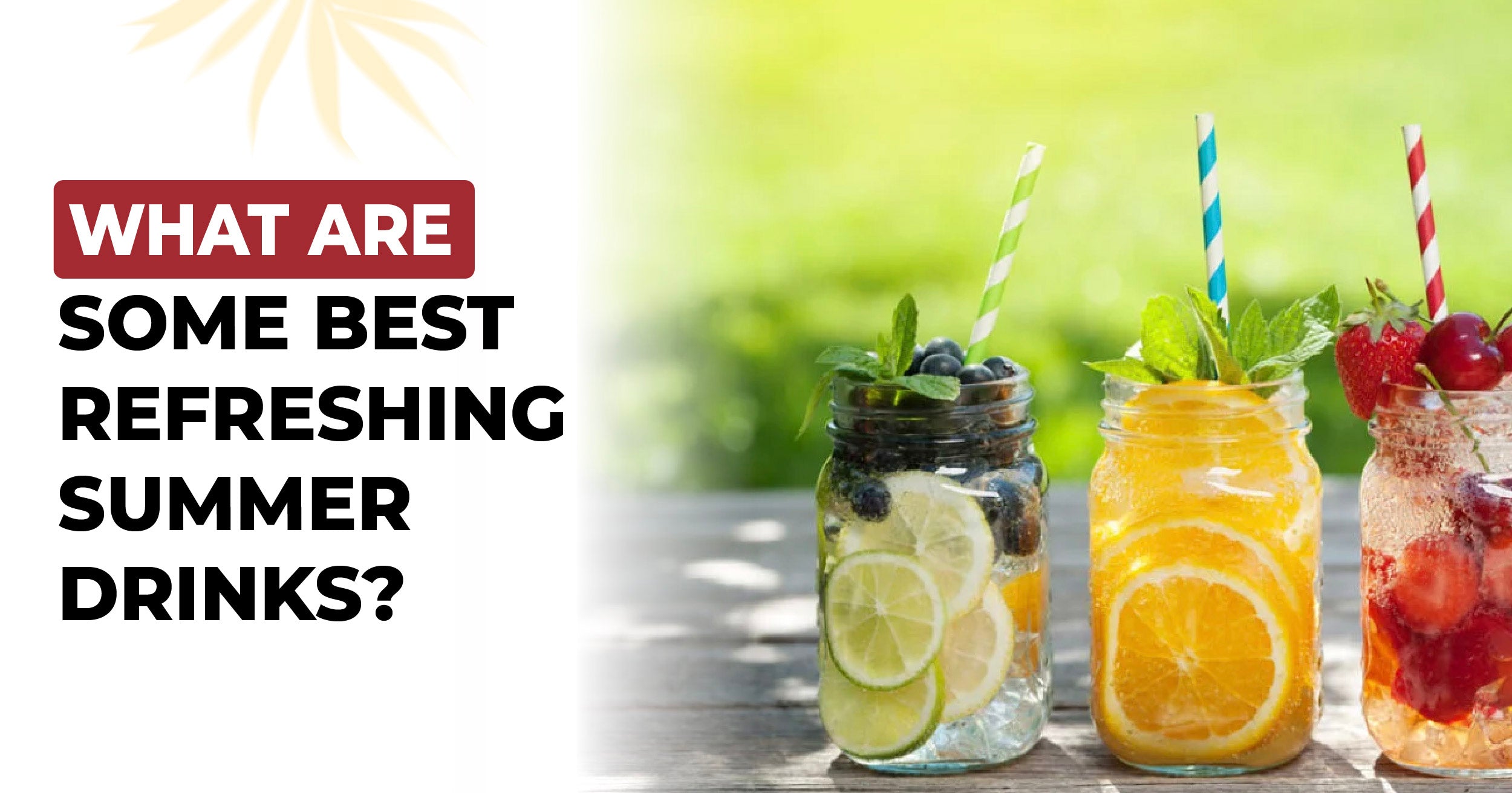 Refreshing Summer Drinks with Nutrient-Packed Seeds