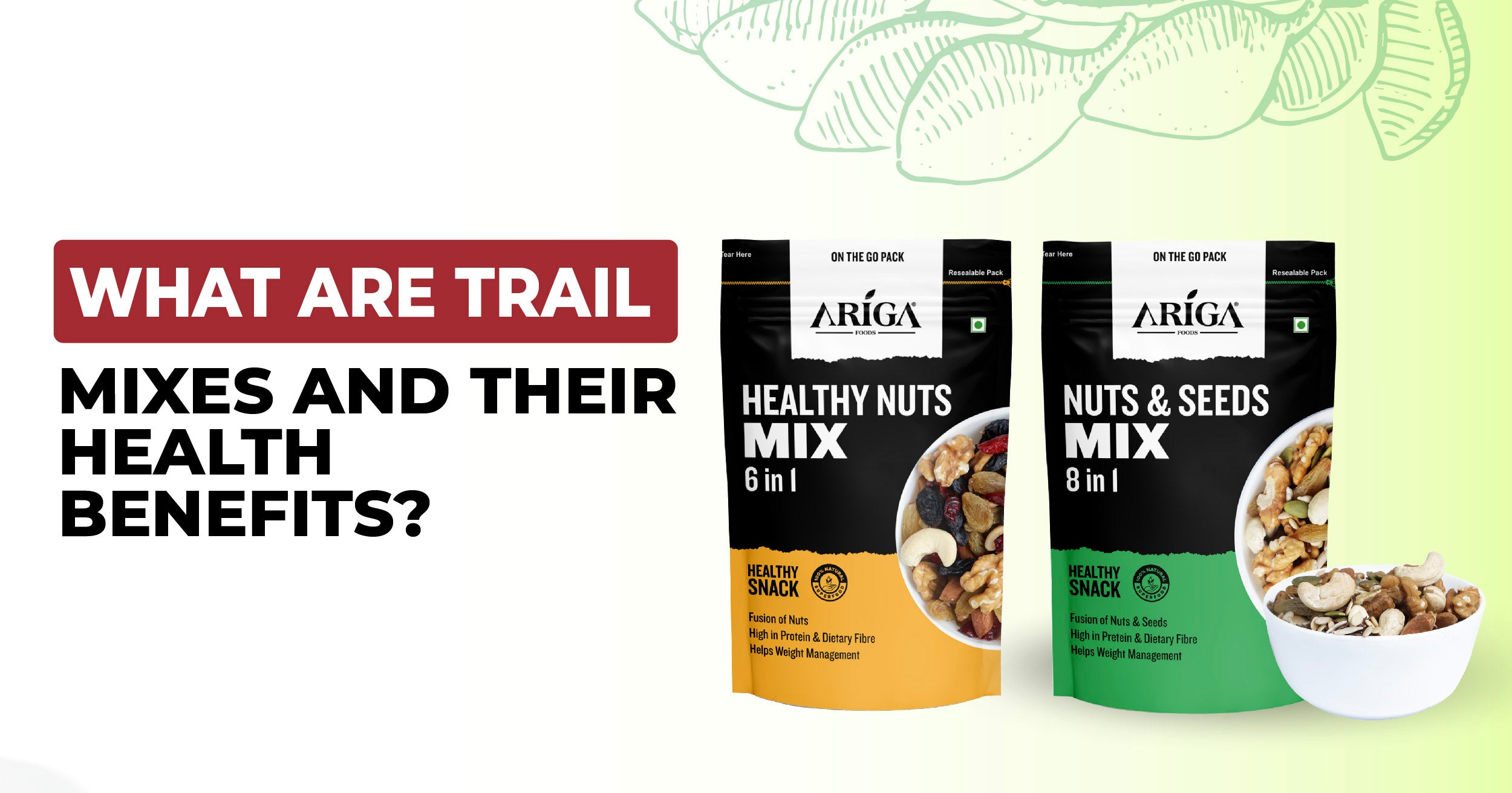 The Role of Seeds in Trail Mixes and Their Health Benefits