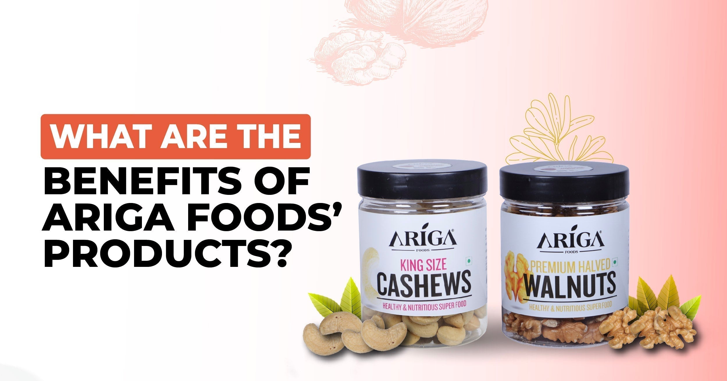 What Sets Ariga Foods' Products Apart from Other Snacks?