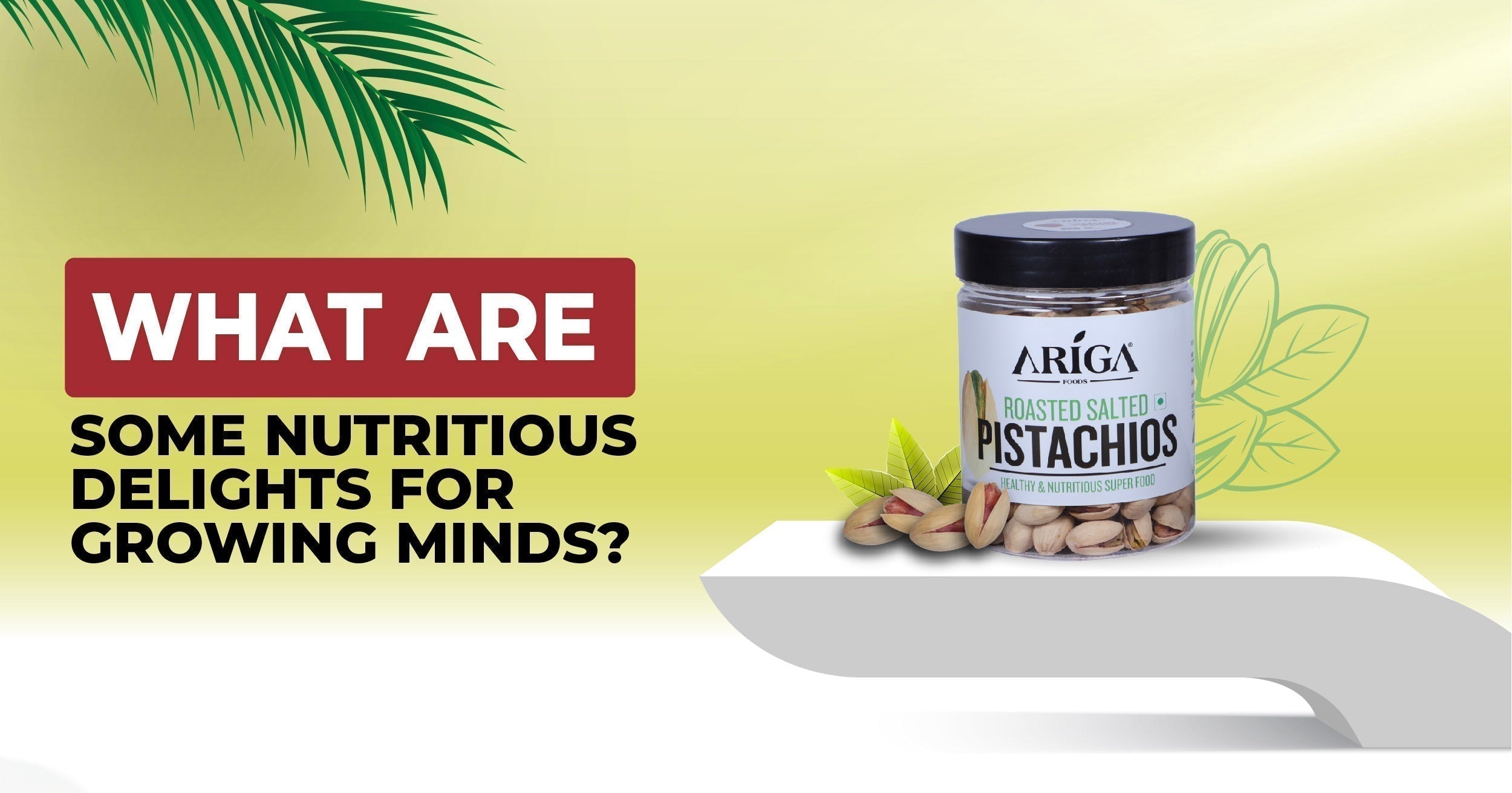 Snacks for All Ages: Ariga Foods' Products for Kids and Adults