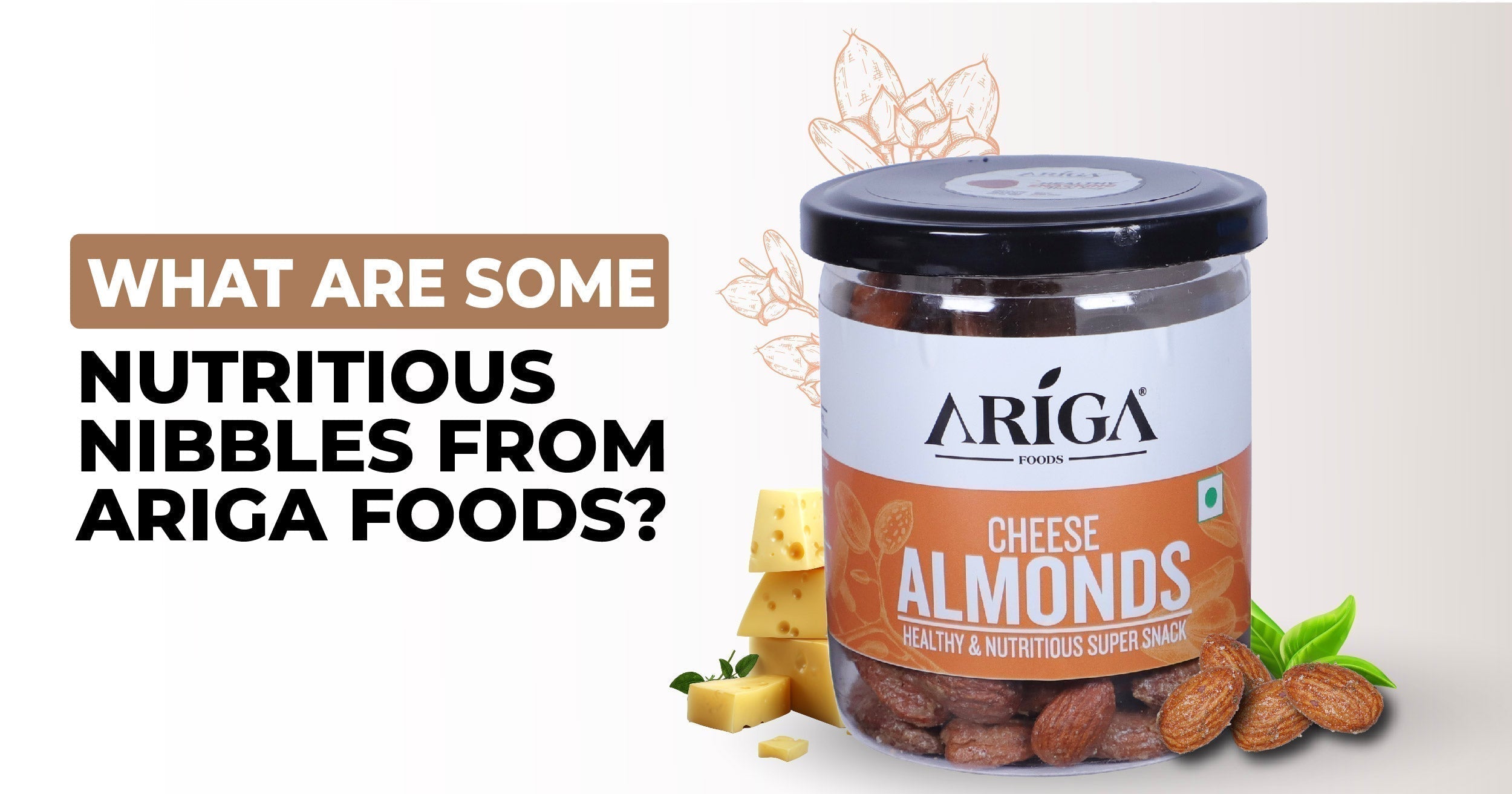 The Best Snacks to Pack for a Road Trip: Ariga Foods' Recommendations
