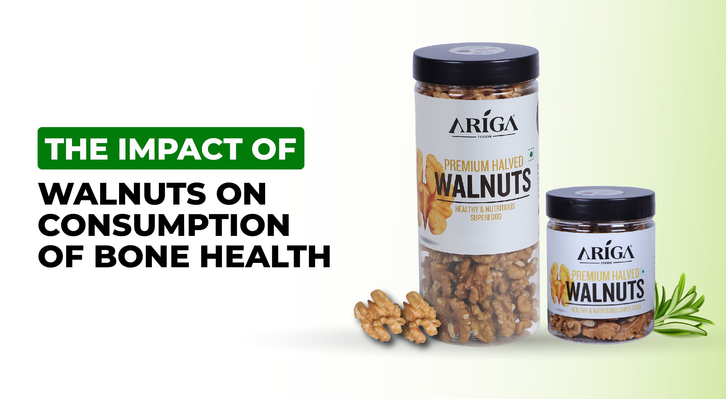 The impact of Walnut Consumption on Bone Health