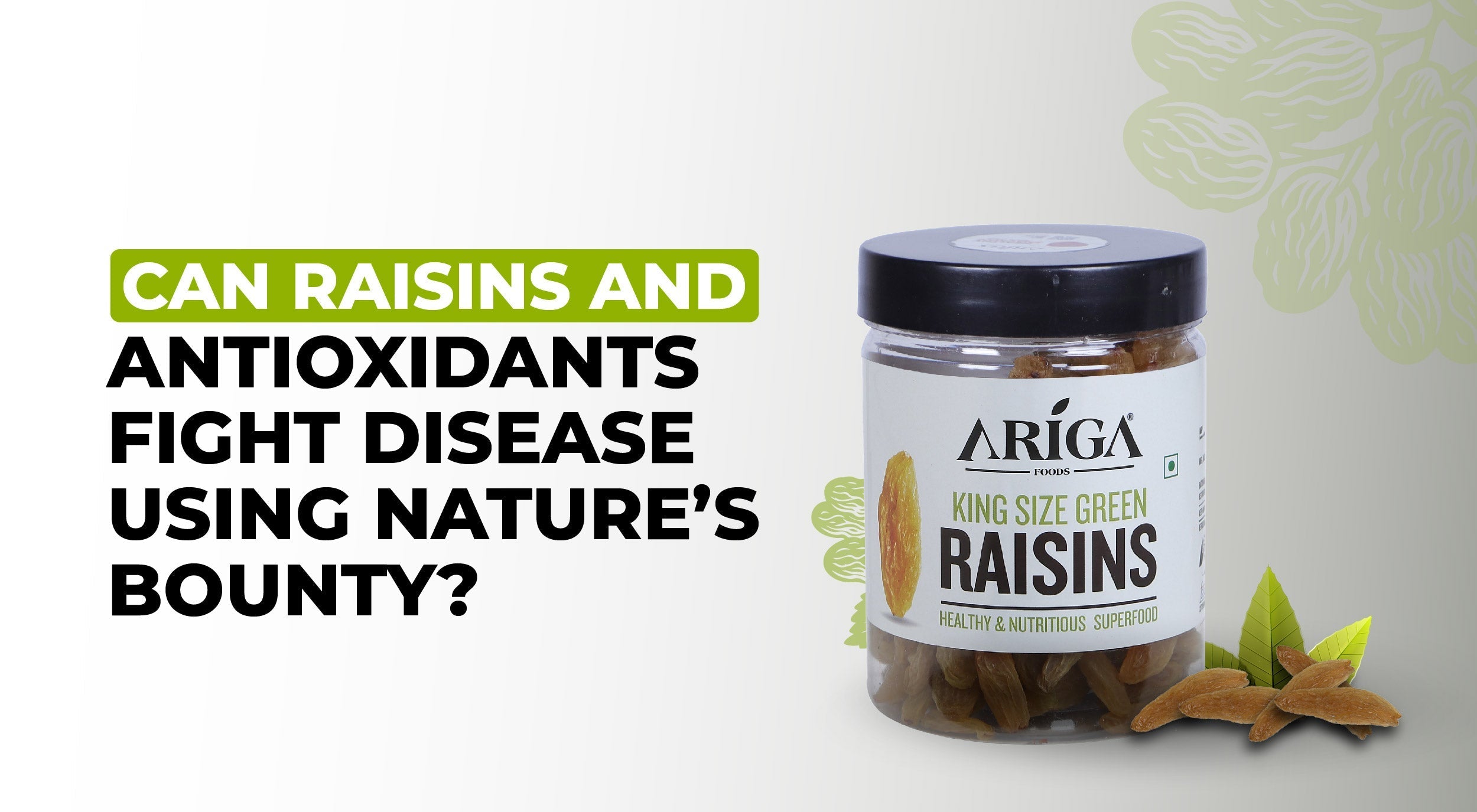 Raisins and Antioxidants : How They Can Help Fight Disease