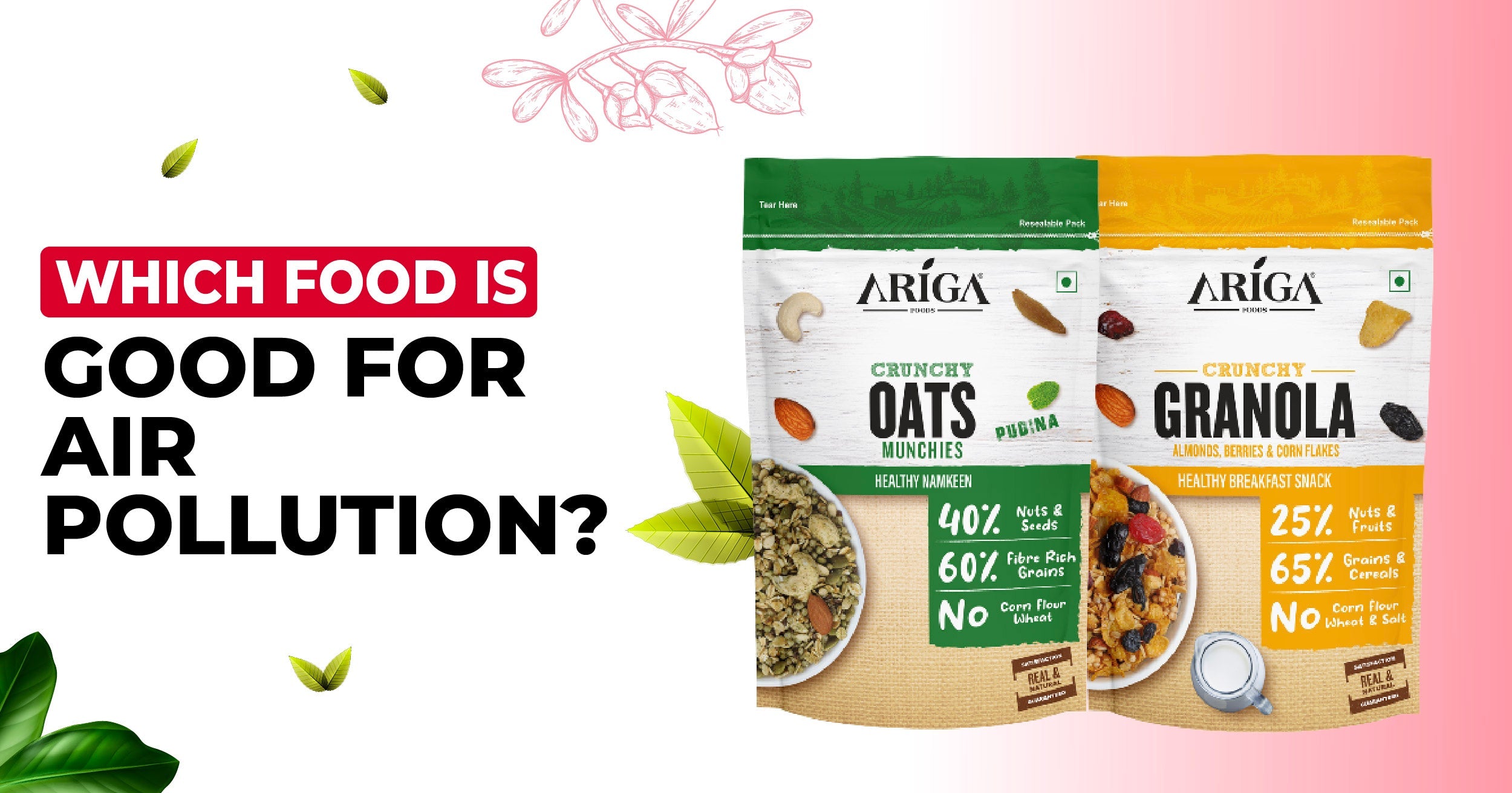 Which Food is Good for Air Pollution