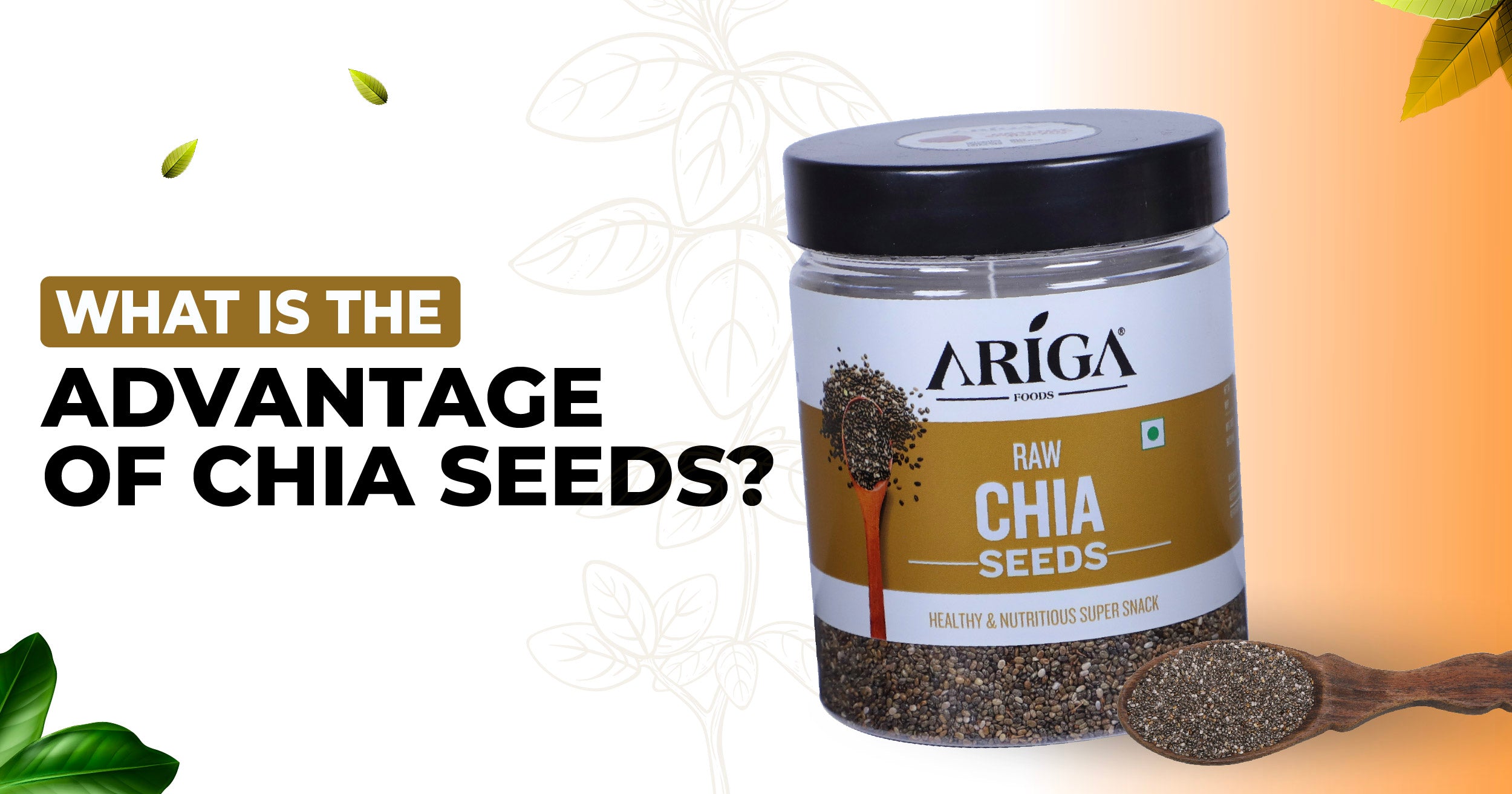 Chia Seeds: Tiny Seeds, Big Nutritional Punch