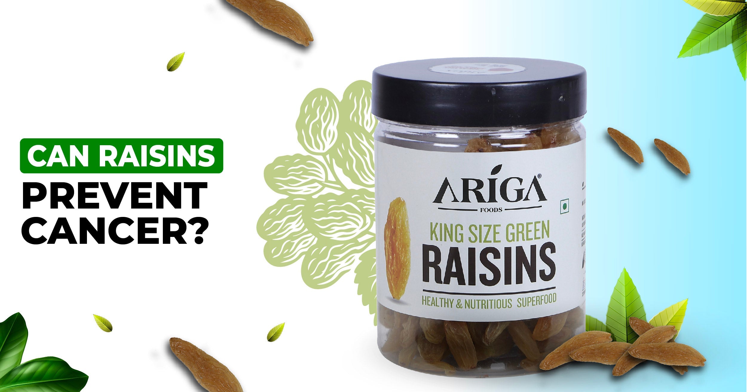 How Raisins can help you to Prevent Cancer?