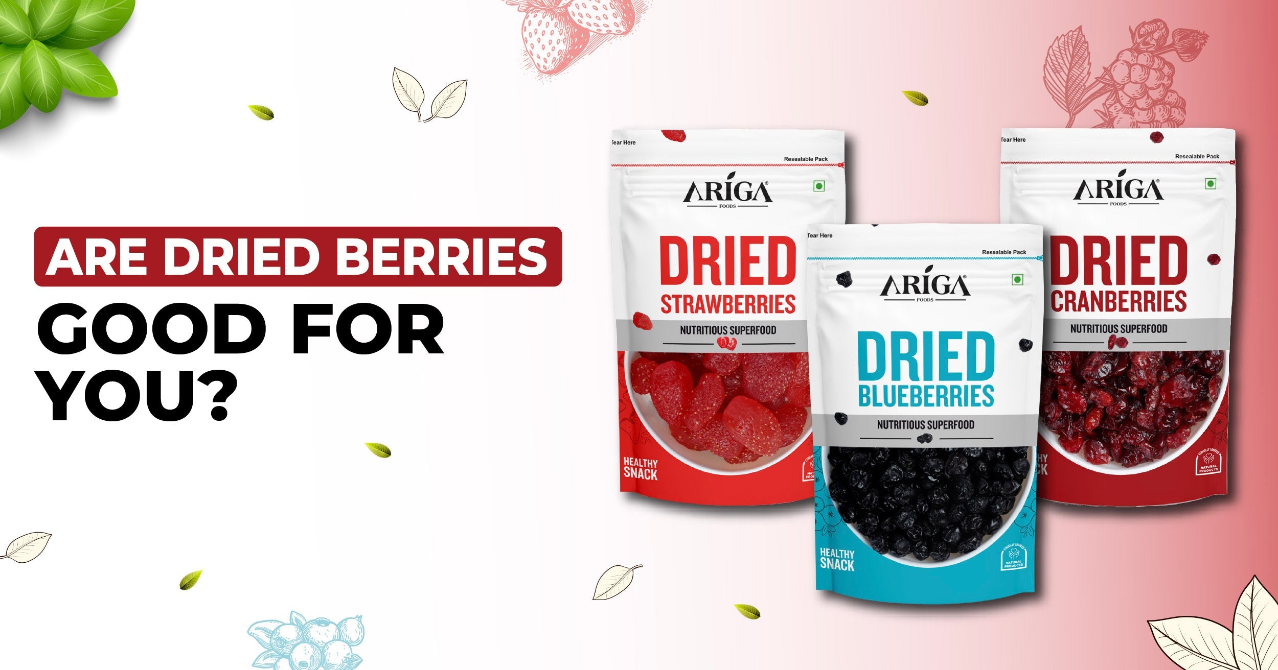 Are Dried Berries Good for You?