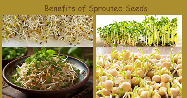 The Benefits of Sprouted Seeds