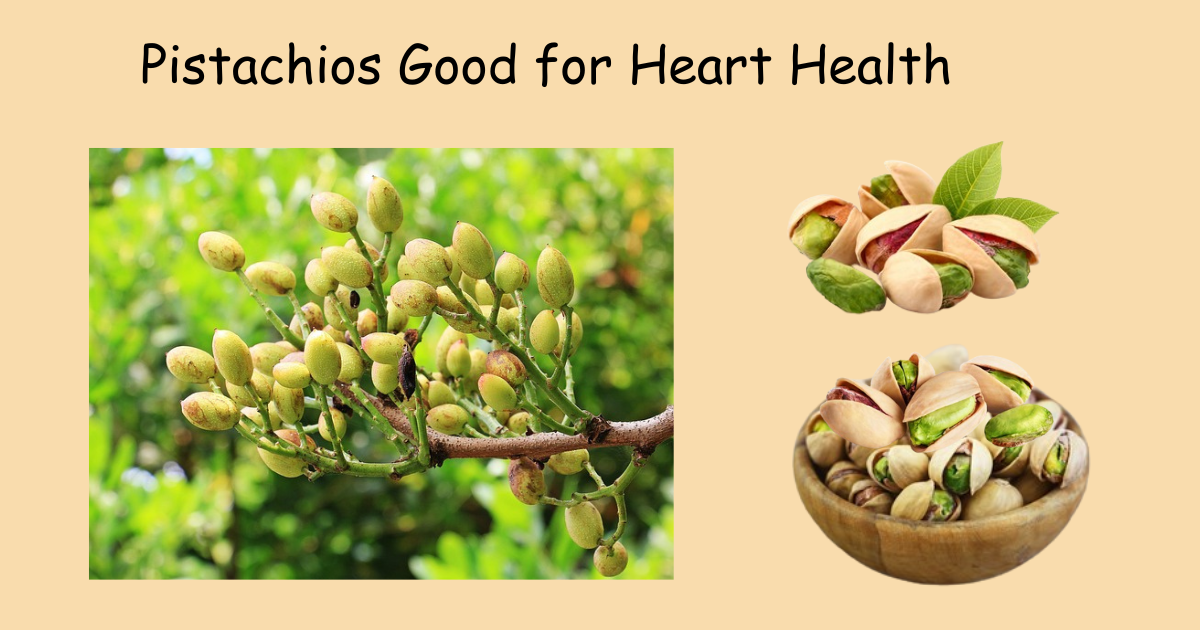 How Pistachios can help to prevent Heart Disease?