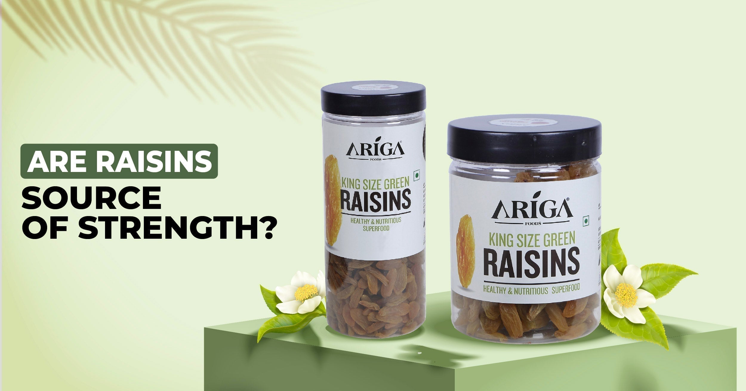 Raisins as a Source of Energy