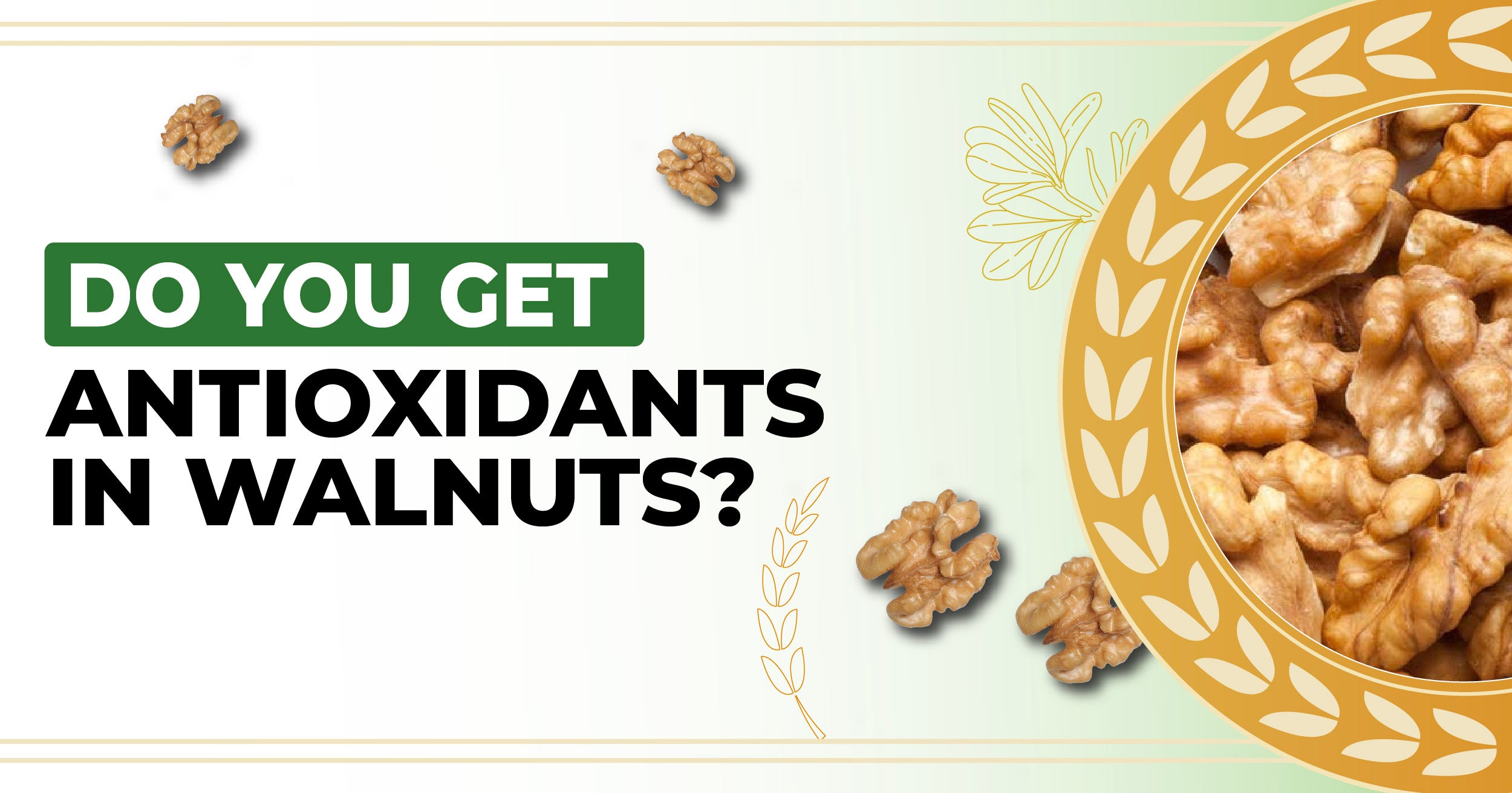 Walnuts as a good source of Antioxidants