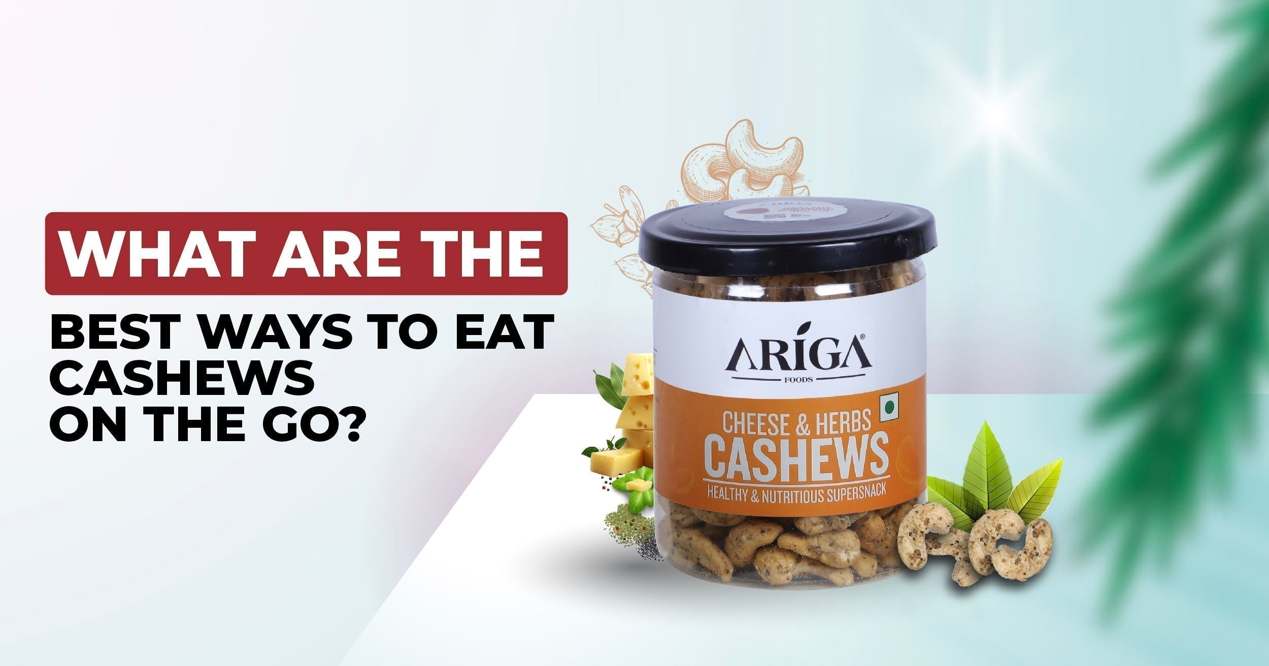 What are the best ways to Eat Cashews on the Go?