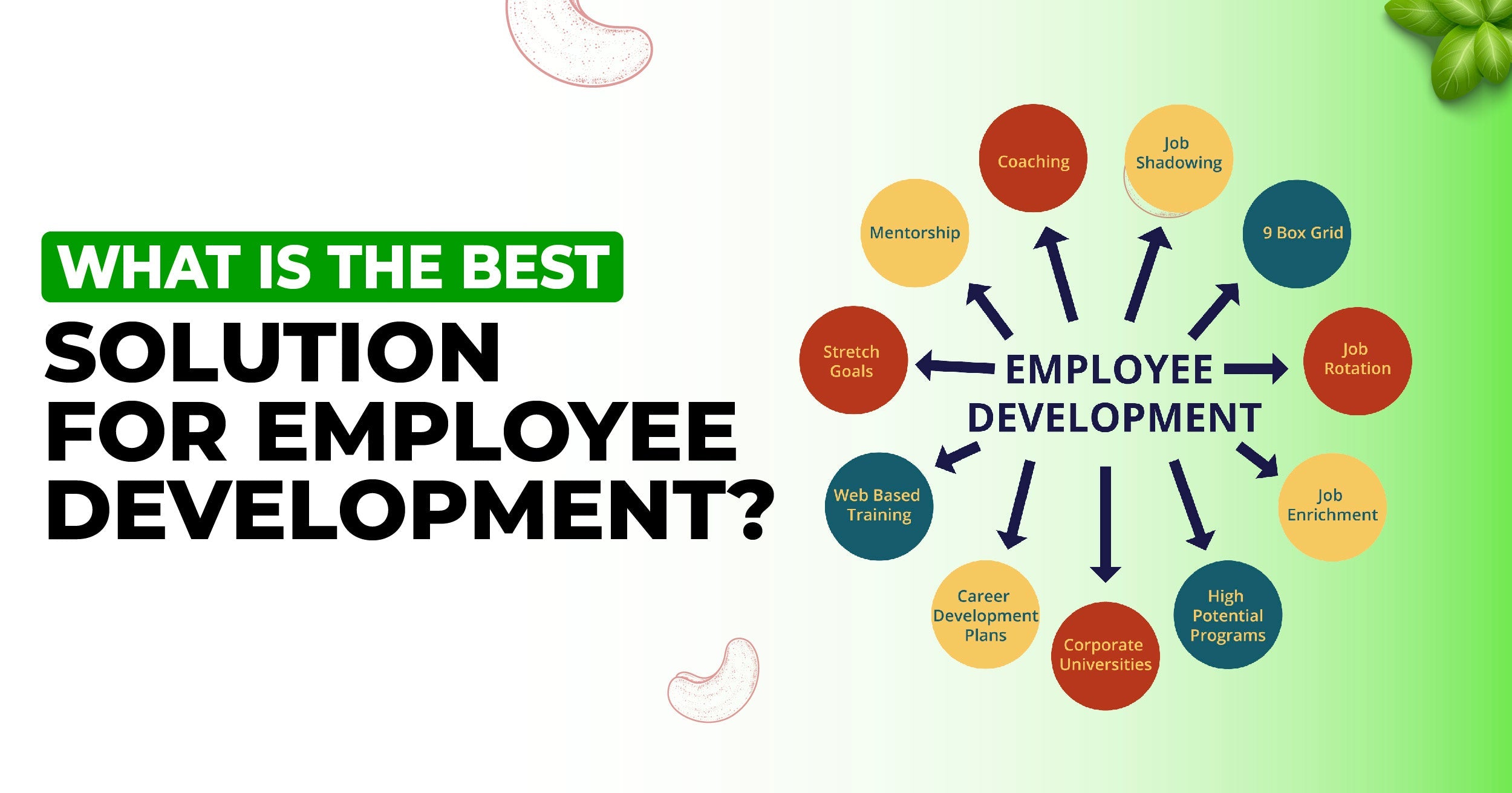 Corporate Gifting for Employee Training and Development Programs