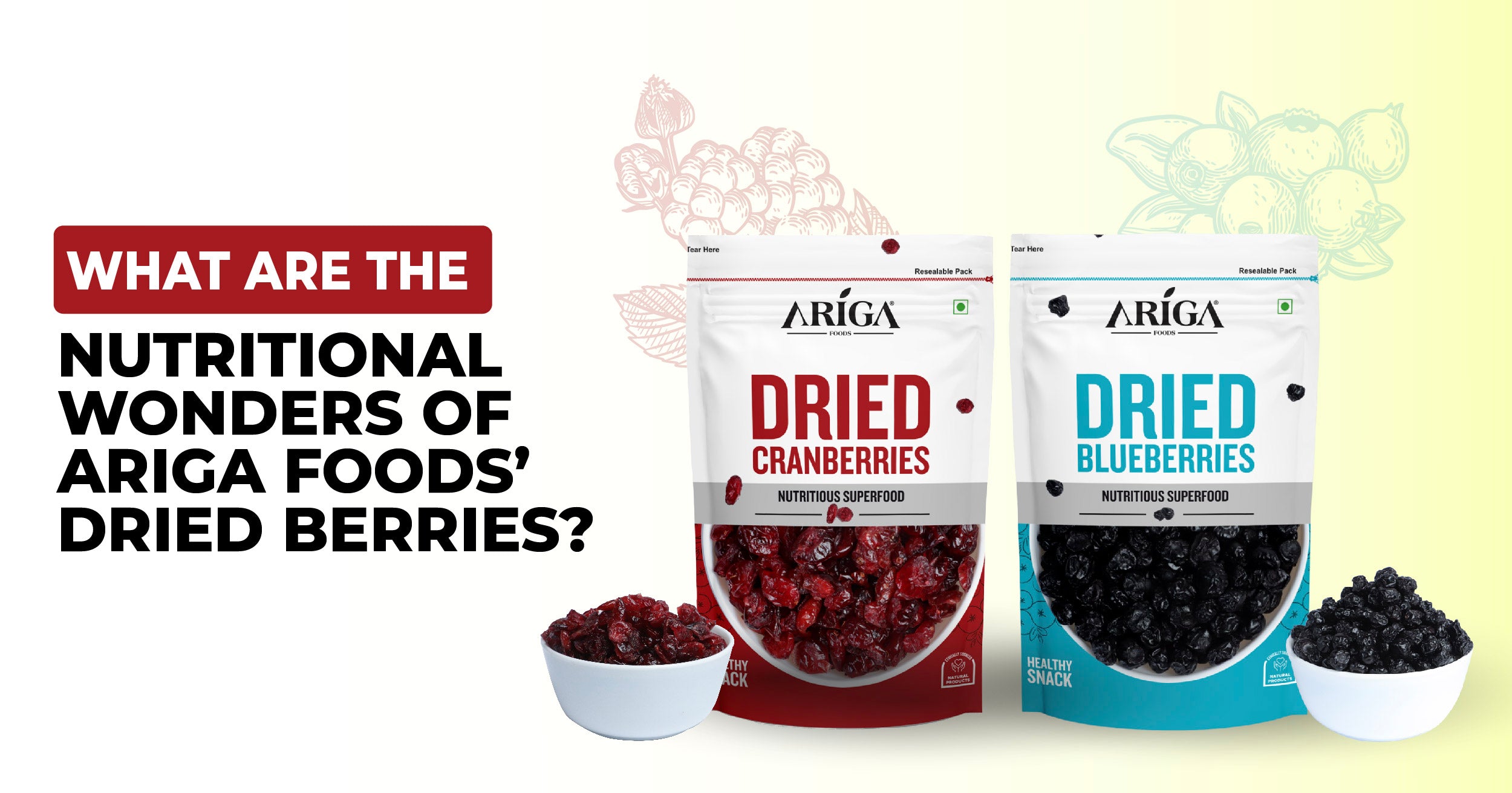 What are the Nutritional Wonders of Ariga Foods' Dried Berries?