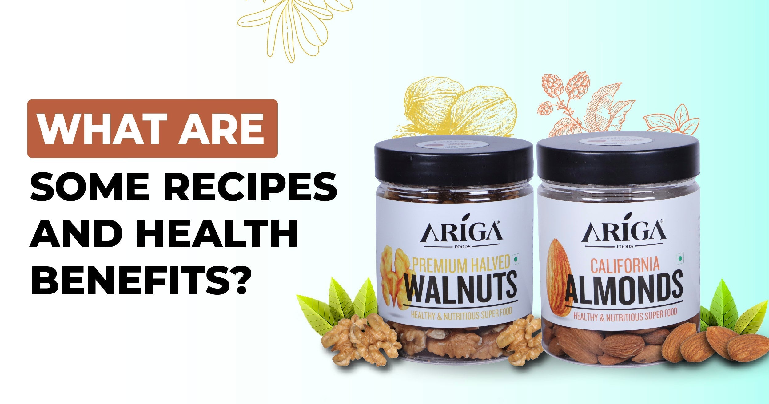 Nutrient-Packed Seed-Based Summer Drinks - What are some Rccipes and Health Benefits?