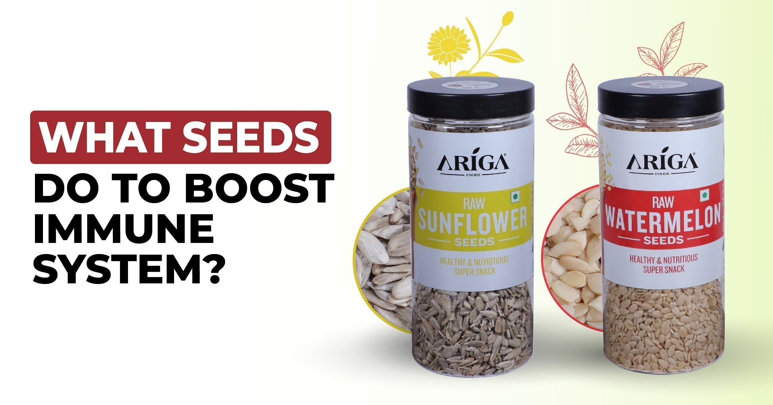 How to Use Seeds to Boost Your Immune System