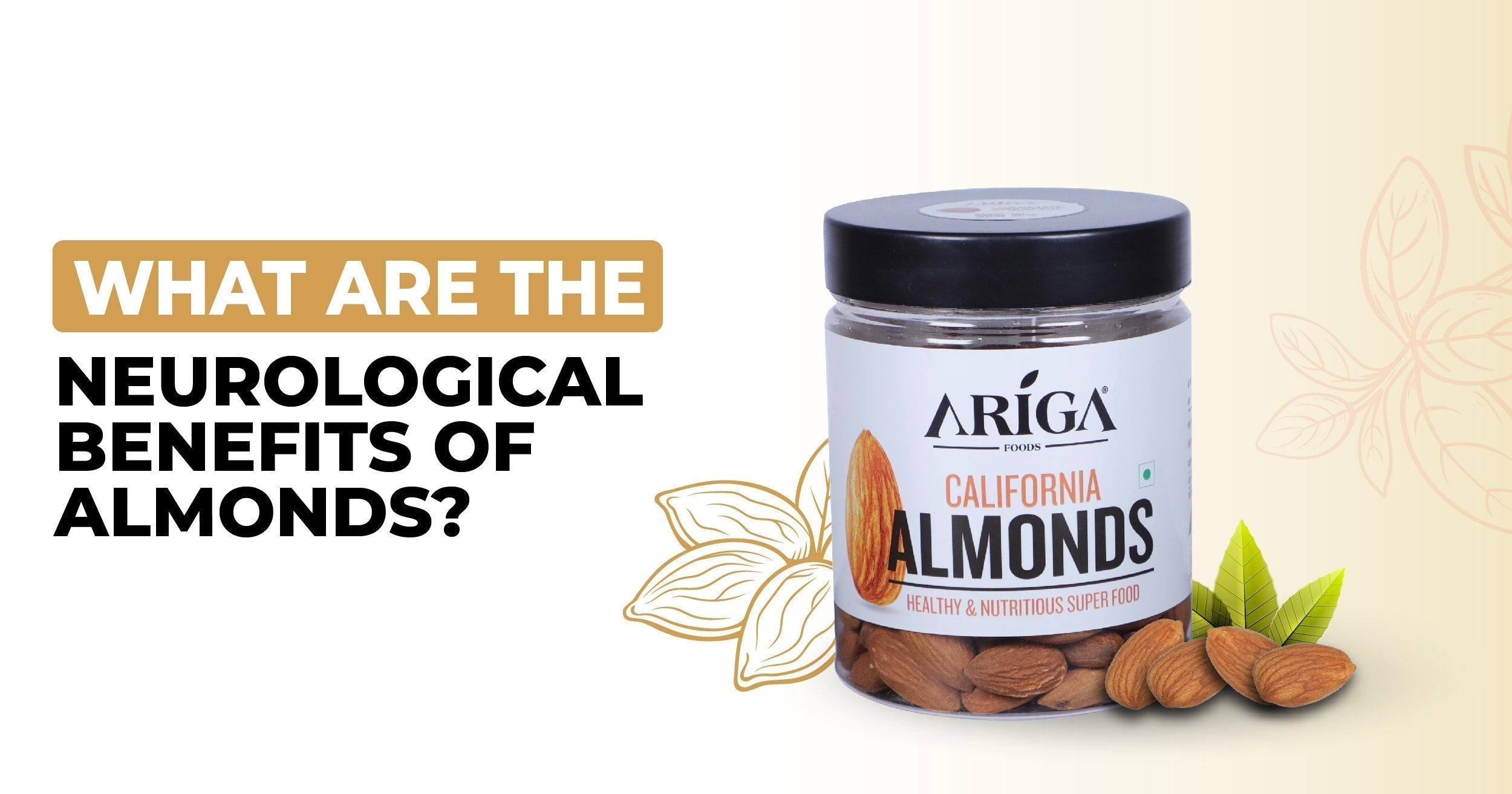 How Almonds Are Good for Your Nerves