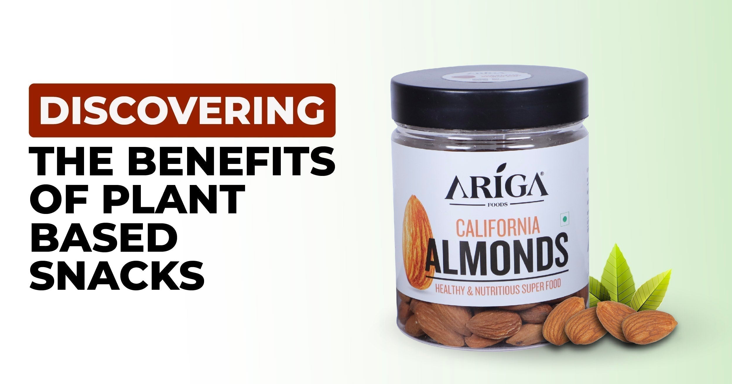 The Benefits of Plant-Based Snacks: Ariga Foods' Vegan and Vegetarian Options