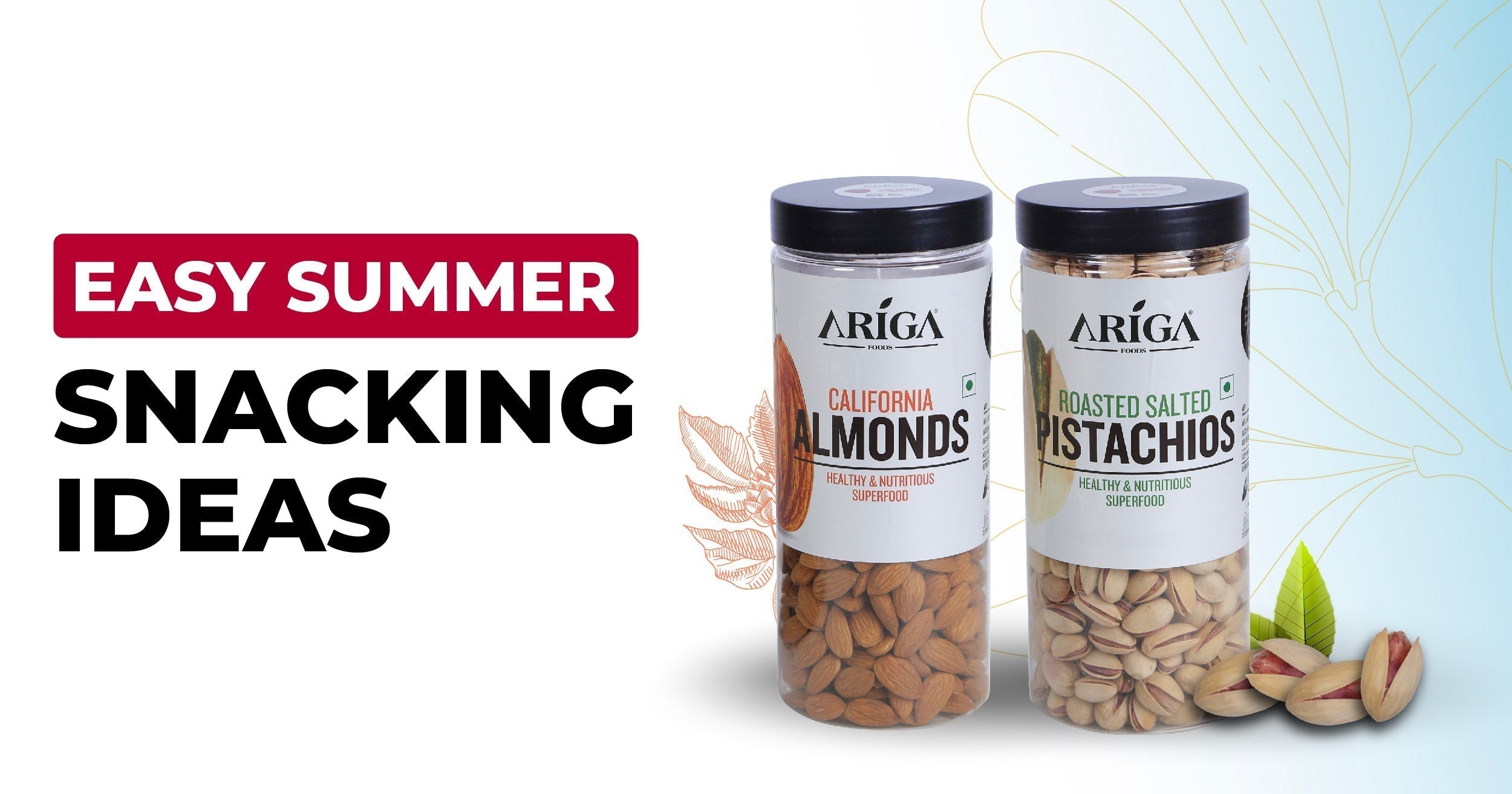 Summer Snacking Made Easy: Quick and Nutritious Dry Fruit Recipes for On-the-Go