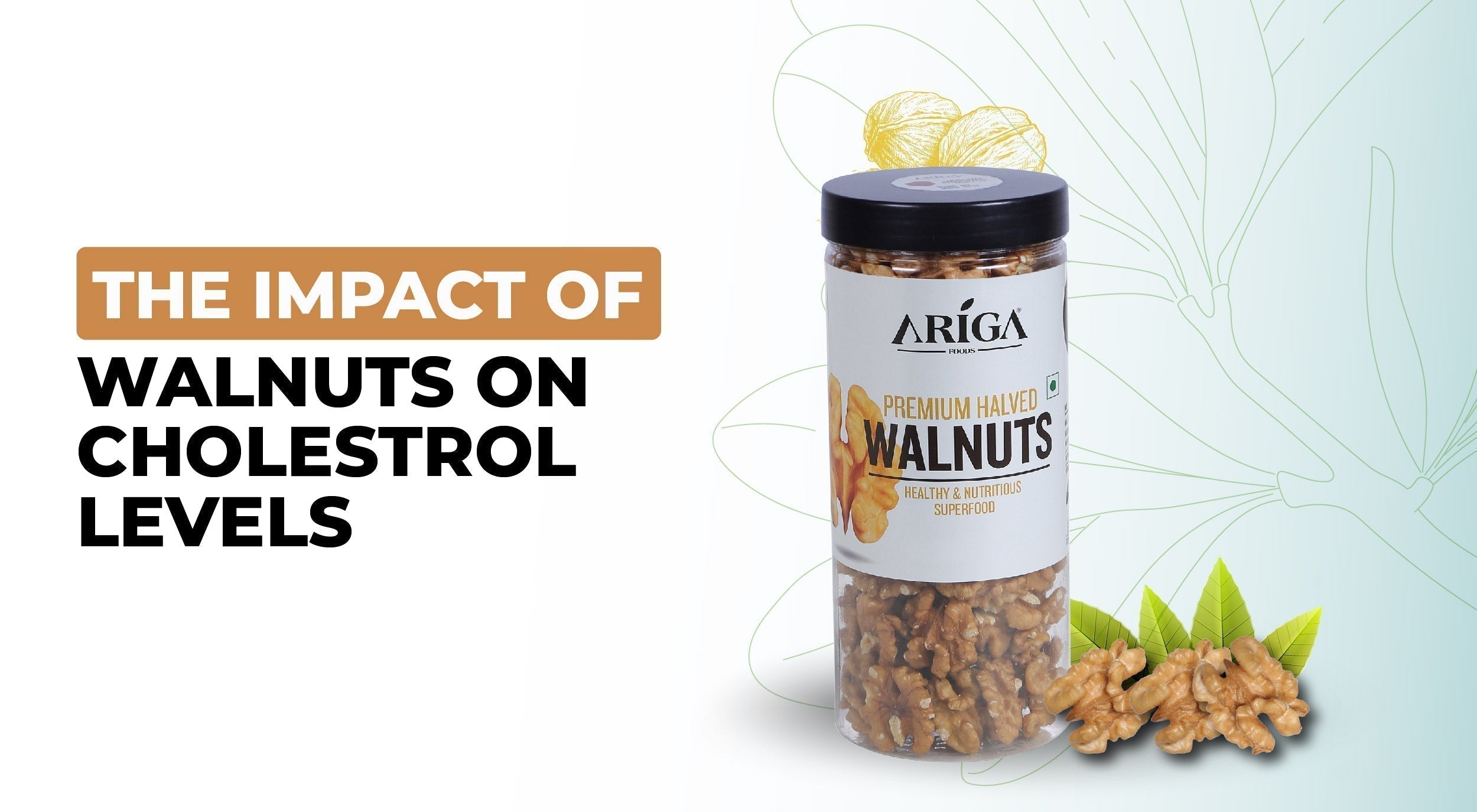 The Impact of Walnuts on Cholesterol Levels