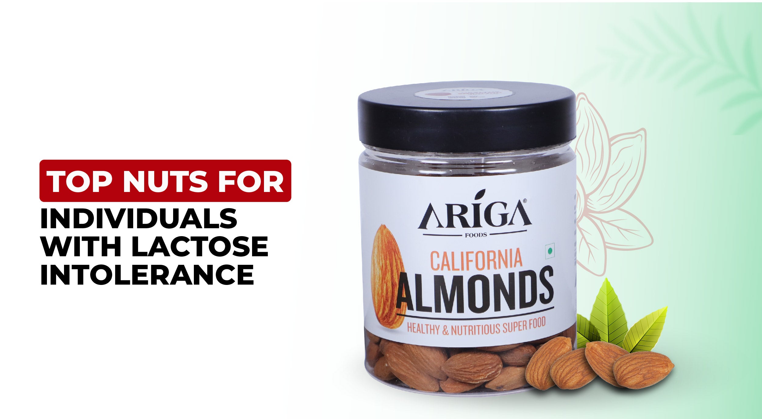 Top Nuts For Individuals with Lactose Intolerance