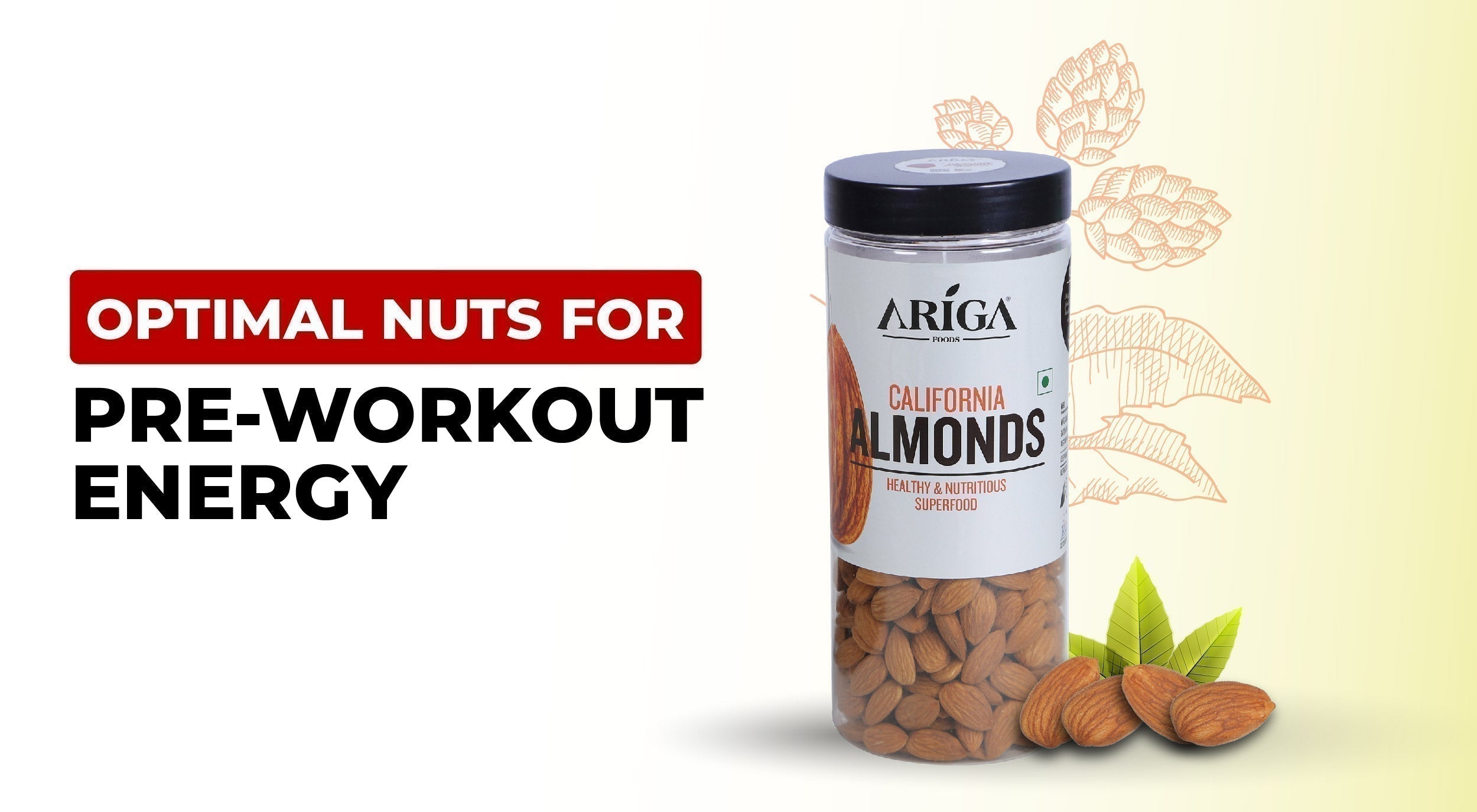 The Best Optimal Nuts For Pre-Workout Energy