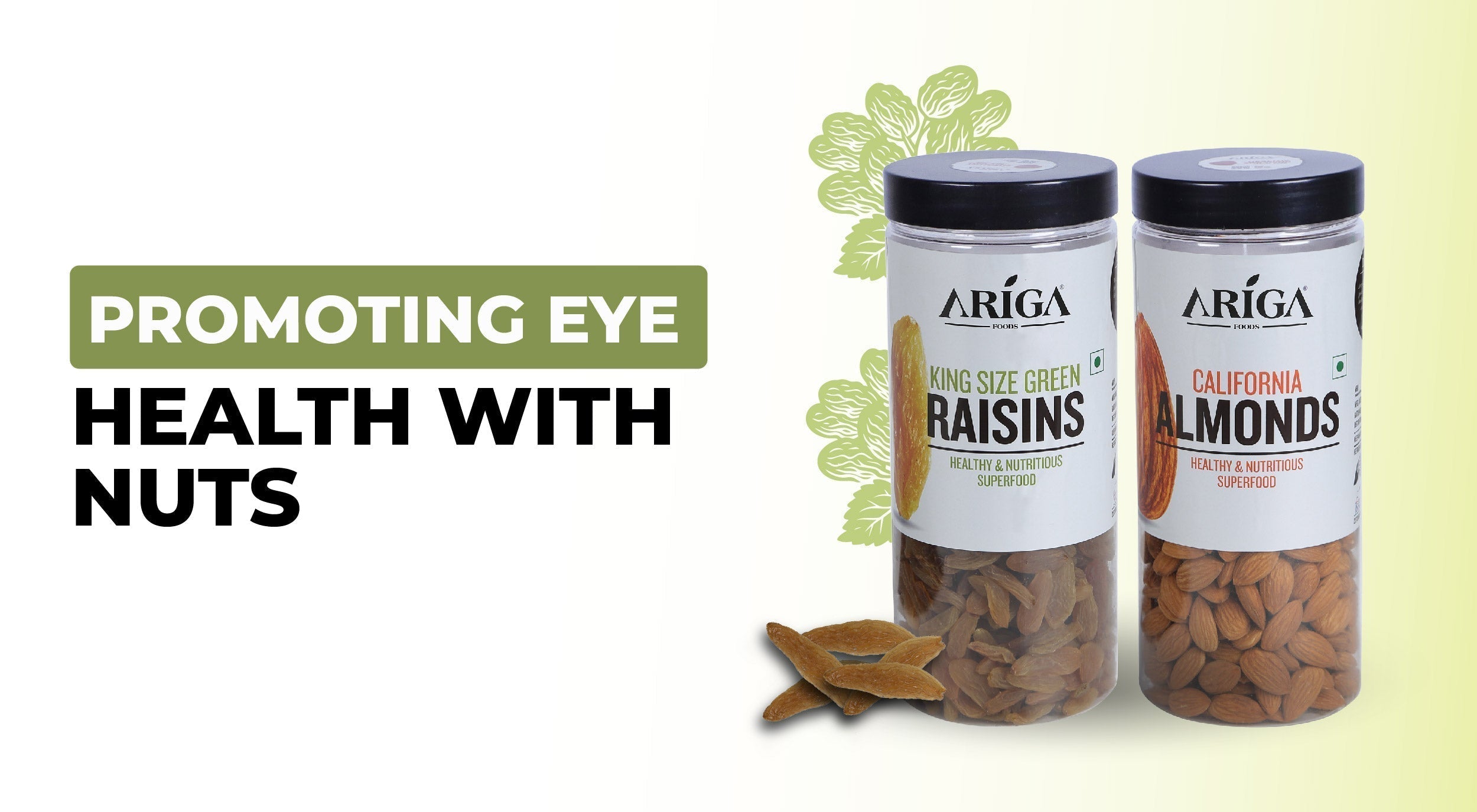 The Benefits of Nuts for Eye Health