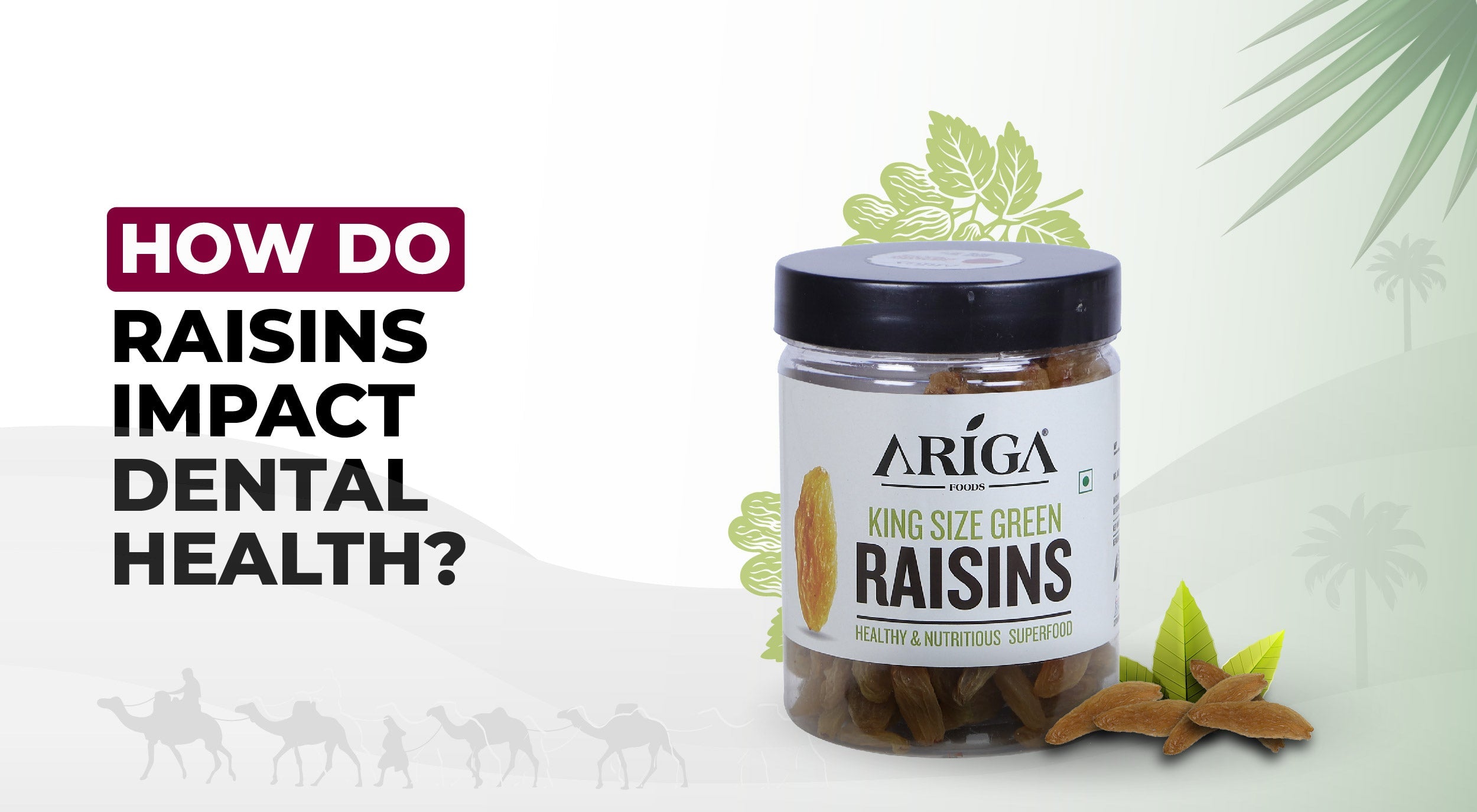 Raisins and Dental Health: What You Need to Know?