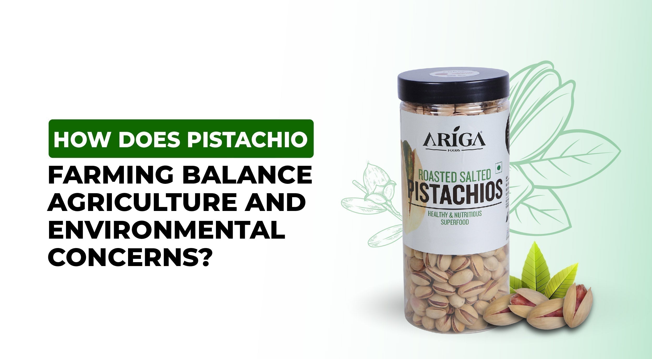 How does Pistachio Farming Balance Agriculture & Environmental Concerns?