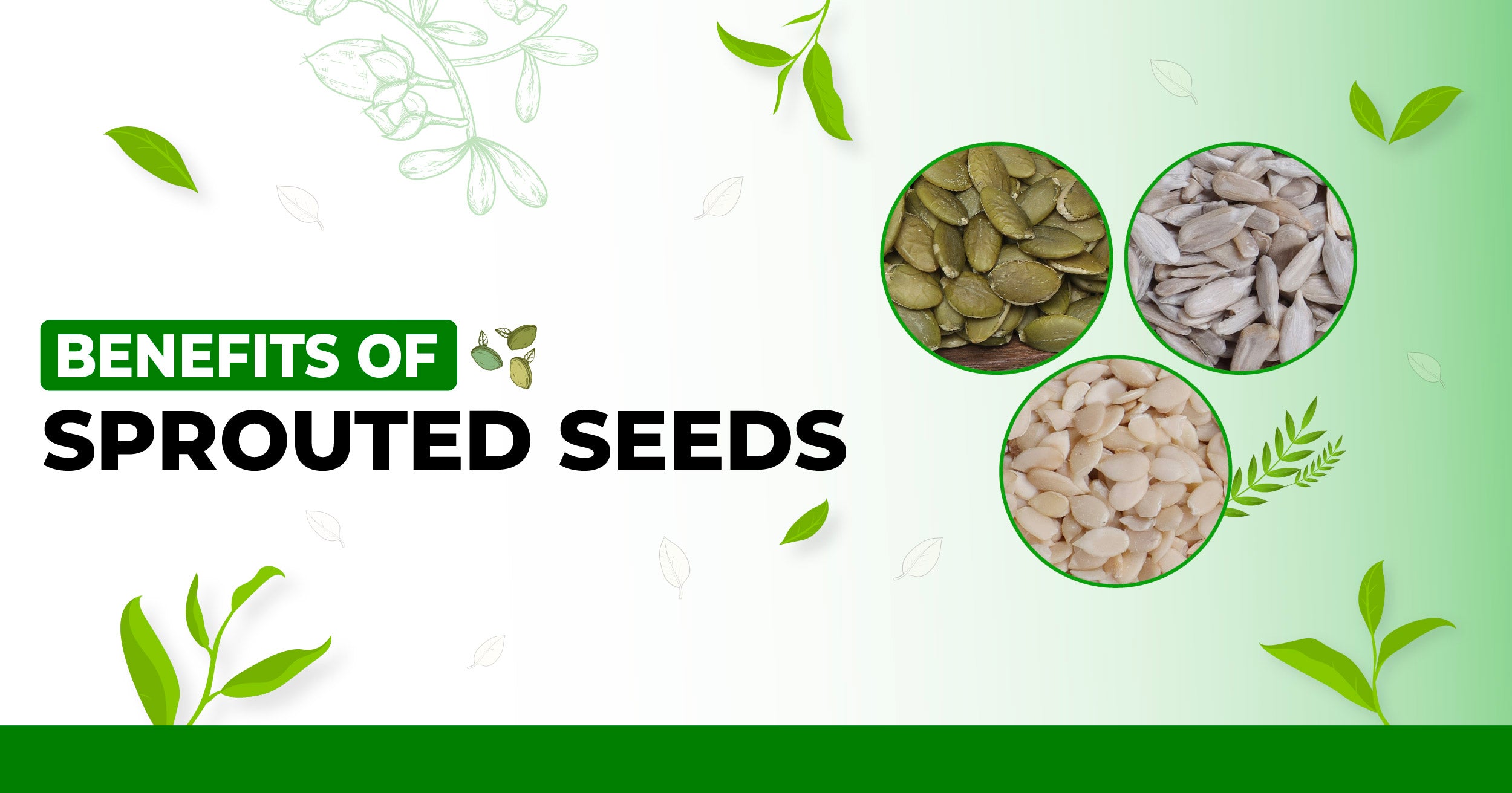 The Benefits of Sprouted Seeds