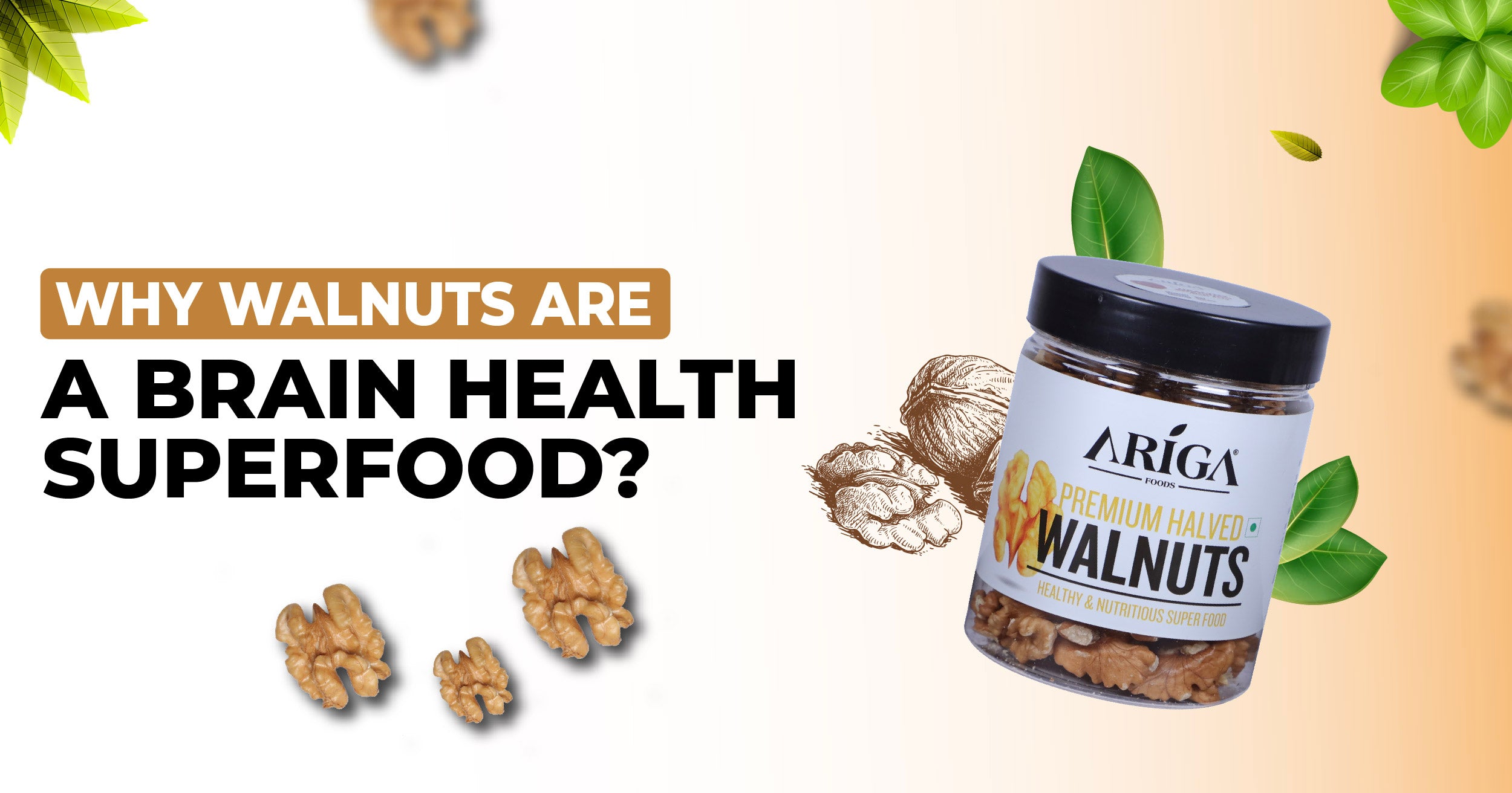 Why Walnuts Are a Brain Health Superfood?