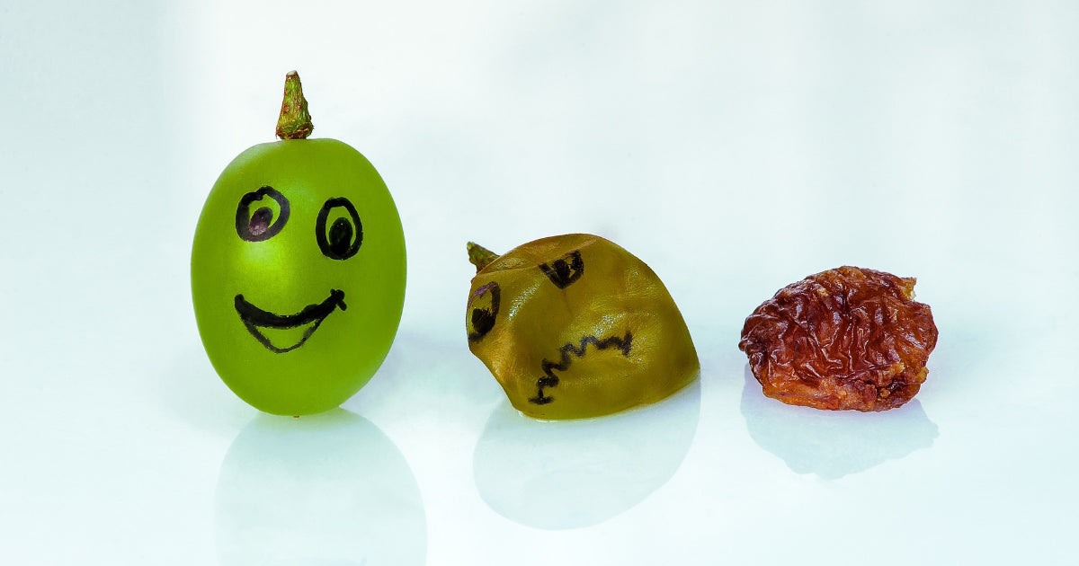 Raisins vs. Grapes: What's the Difference?
