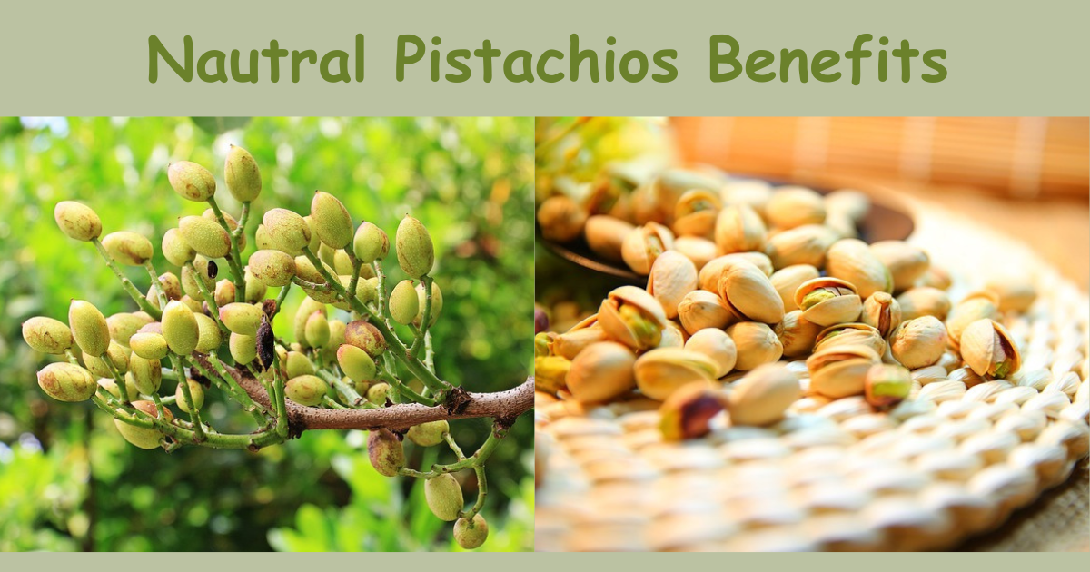 A Breakdown of the Vitamins & Minerals Found in Pistachios