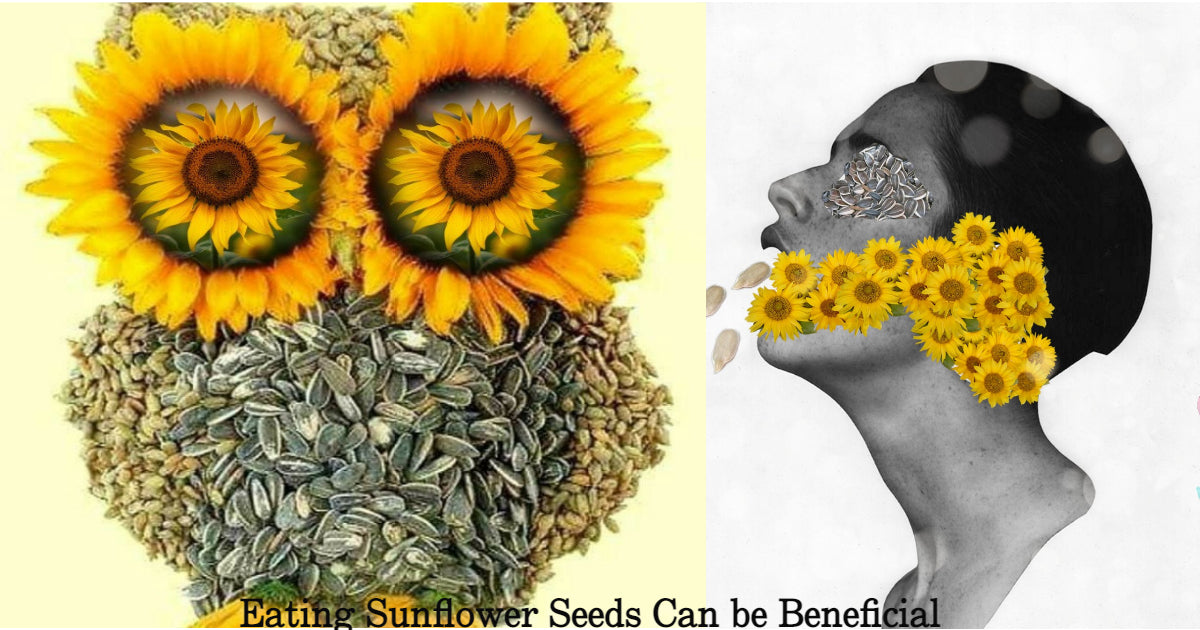 The benefits of eating sunflower seeds