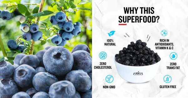 Dried blueberry Benefits for Radiant Skin