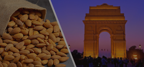 Almond in Delhi, almond market, almond wholesale market