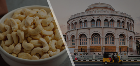 Cashew in Chennai, cashew market in Chennai cashew shop in Chennai
