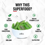 Dried kiwi slices showing natural texture and vibrant color