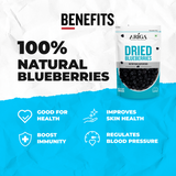 Healthy dried blueberries snack served in bowl nutritious antioxidant rich berries