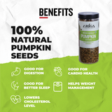 Roasted pumpkin seeds Indian masala flavour crunchy healthy superfood seeds snack