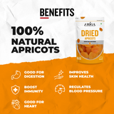 Healthy snack Turkish apricots in bowl nutritious dried fruit snack