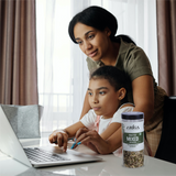 Nutritious roasted mixed seeds rich in fiber protein and healthy fats